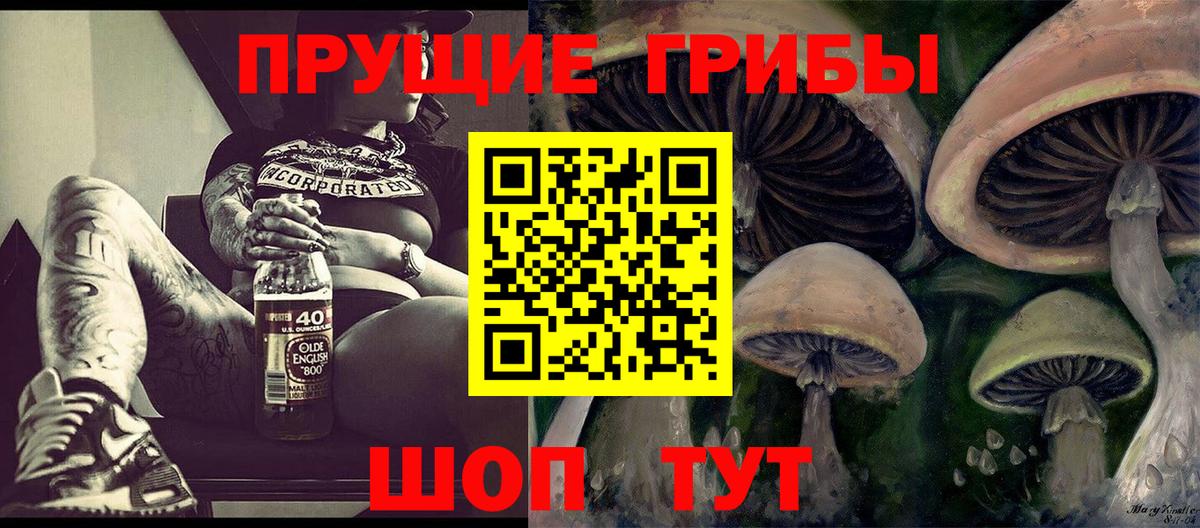 Псилоцибиновые грибы ЛСД  Вход с VPN  Ярославль  Псилоцибиновые грибы мухоморы 